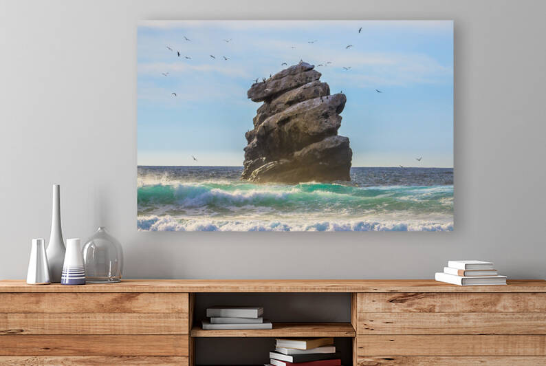 Bird Rock by RunAmuck Photography
