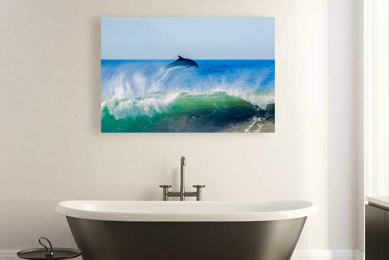 Dolphin Flyaway by RunAmuck Photography