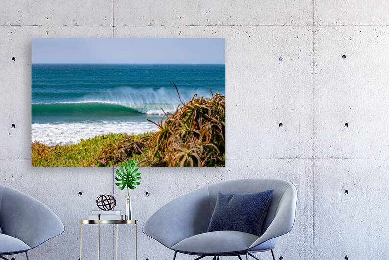 Iceplant Barrel by RunAmuck Photography