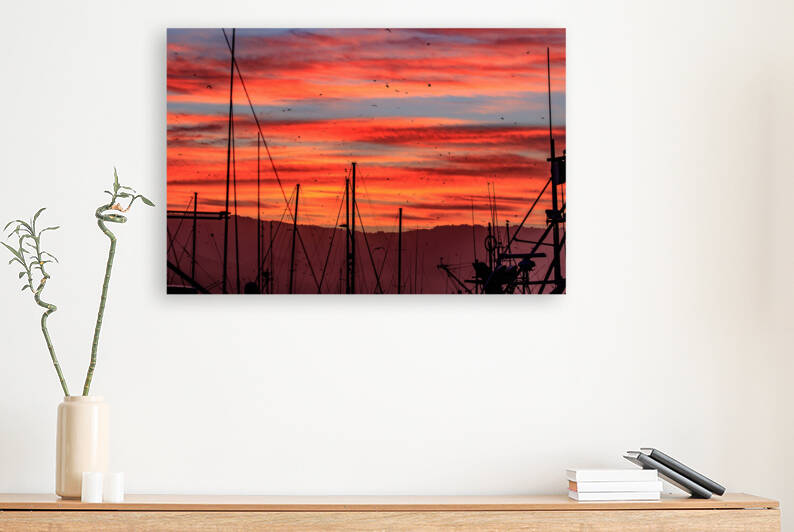 Harbor Sunrise by RunAmuck Photography