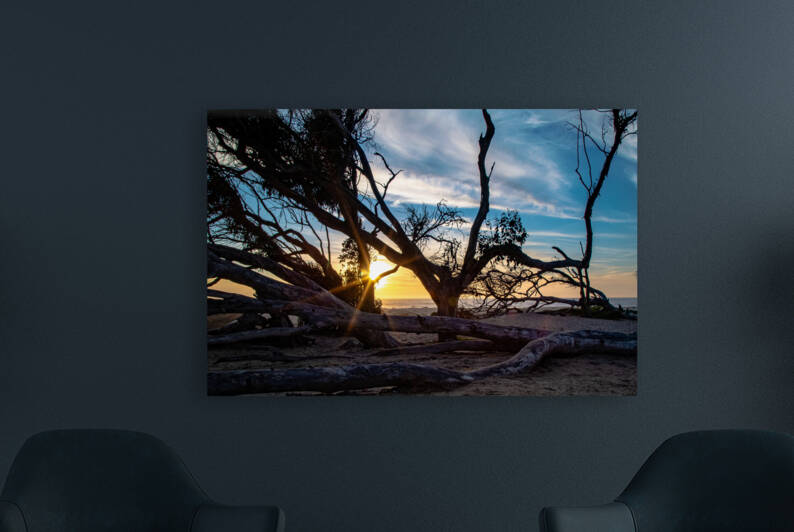 A Break in the wind by RunAmuck Photography