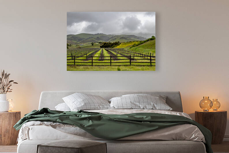 Cloudy Vineyard by RunAmuck Photography