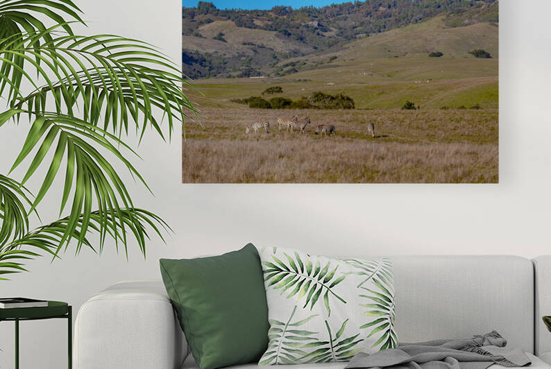 Hearst Castle w zebras 1 by RunAmuck Photography