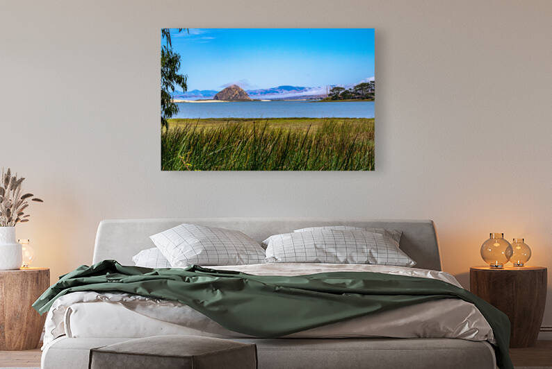 Estuary Rock by RunAmuck Photography