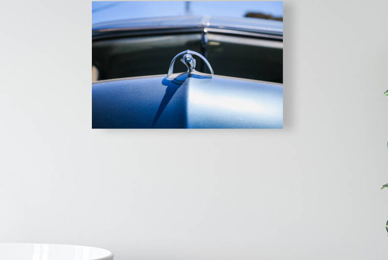 Merc Ornament by RunAmuck Photography