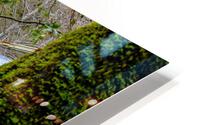 Hidden Bridge HD Metal print