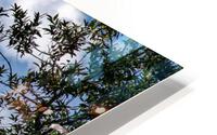 Got Water HD Metal print
