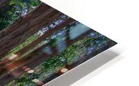 Hazzard Woods HD Metal print