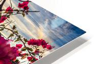 Boug sunset1 HD Metal print