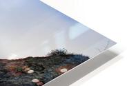Reef Wreckage HD Metal print