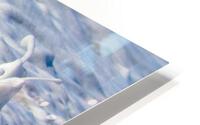 Seafoam HD Metal print