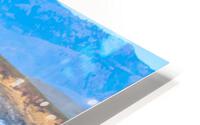 Sealion Sunning HD Metal print