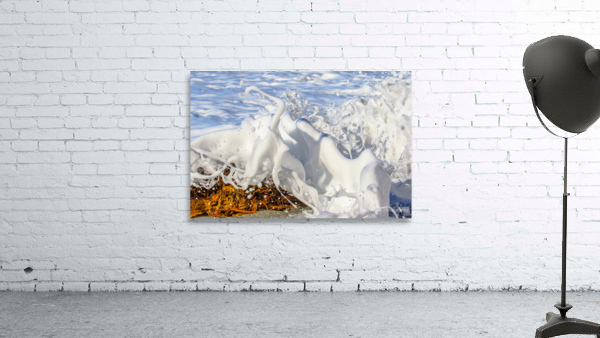Froth Wall Preview