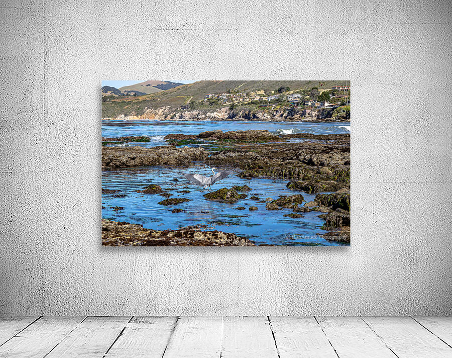 Egret Tidepool Wall Preview