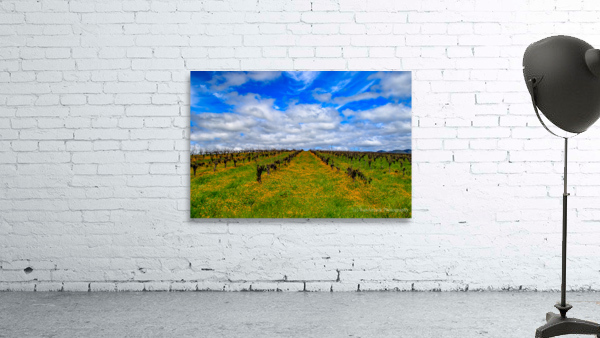 Flowery Vineyard Wall Preview
