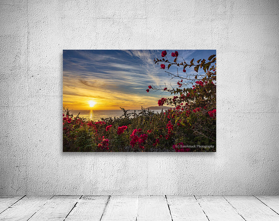 Boug sunset2 Wall Preview
