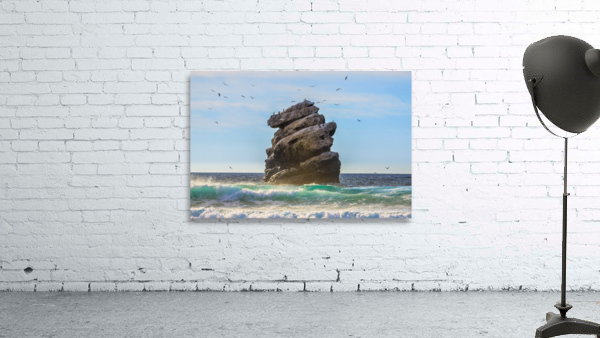 Bird Rock Wall Preview