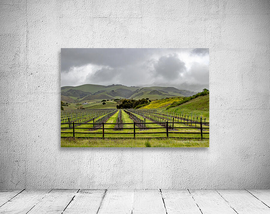 Cloudy Vineyard Wall Preview
