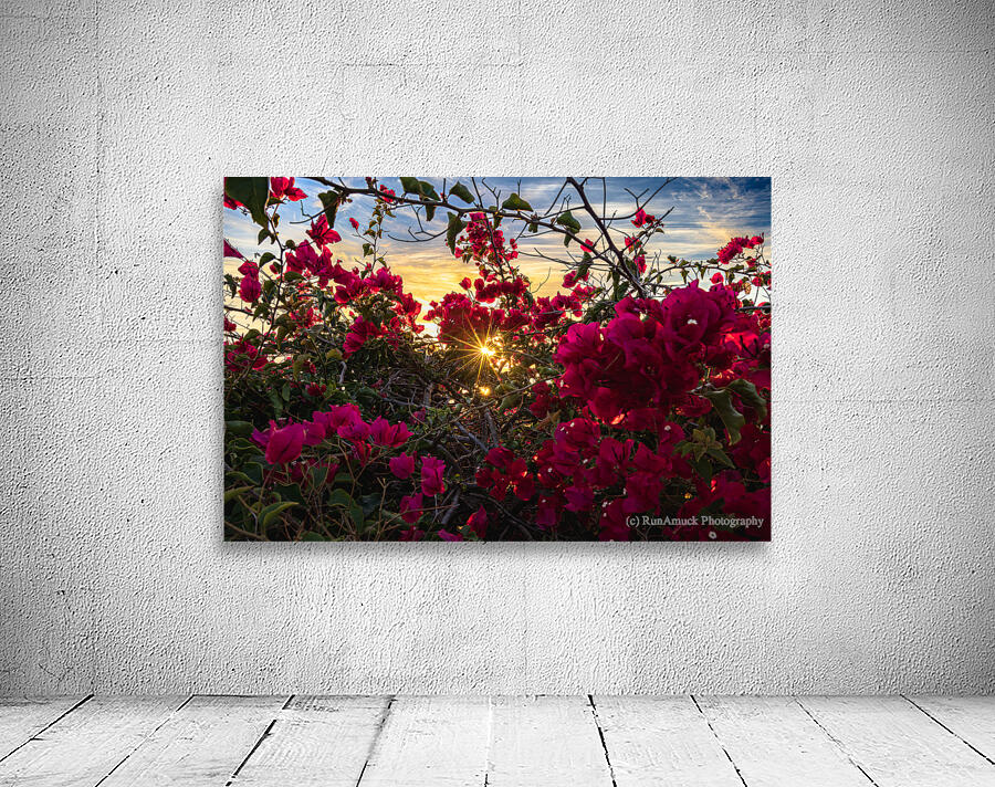 Boug sunset1 Wall Preview