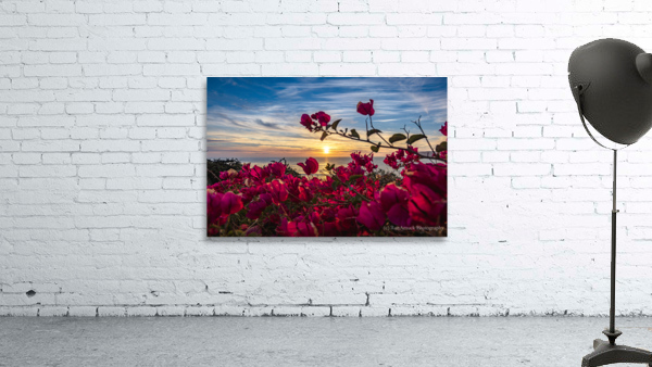 Boug Sunset3 Wall Preview