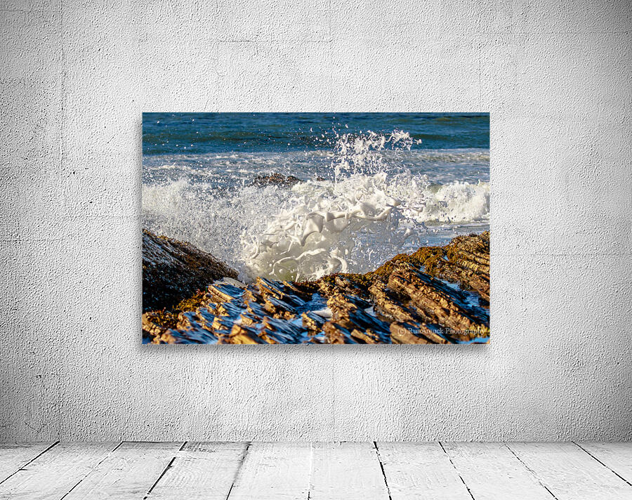 Reef Foam Wall Preview