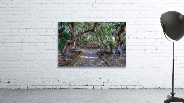 Rose s Garden Wall Preview