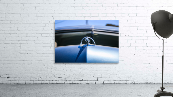 Merc Ornament Wall Preview