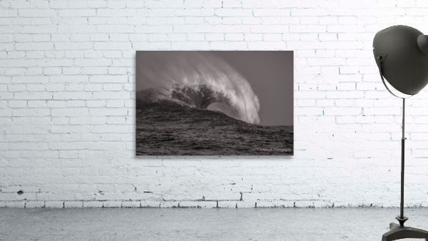 Mavs B W Seq 3 Wall Preview