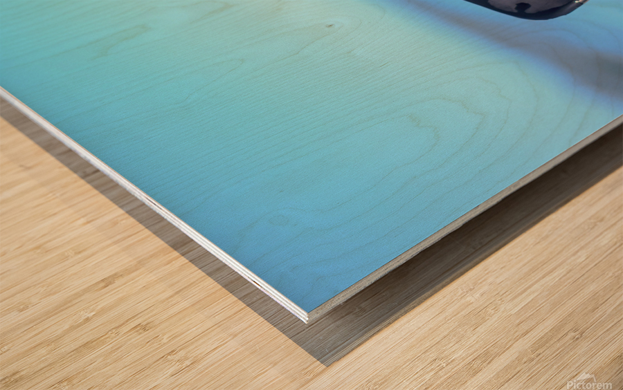 Fin Wood print