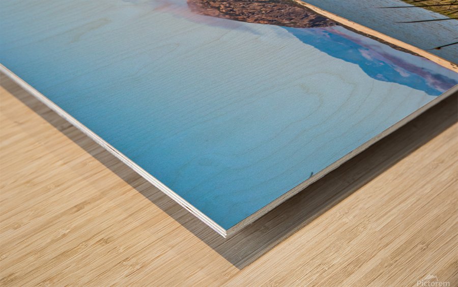 Grassy Rock Wood print