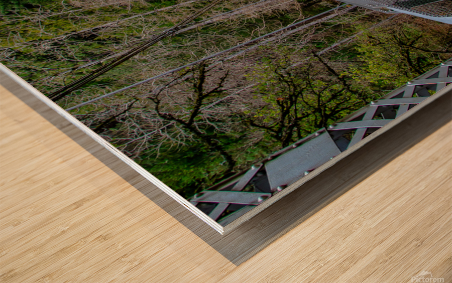 Ghost Bridge Wood print