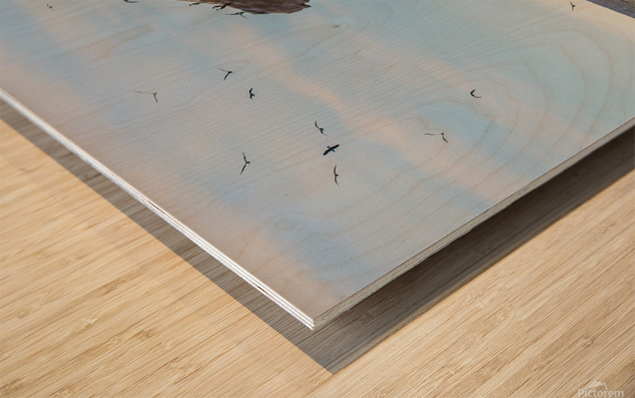 Bird Rock Wood print