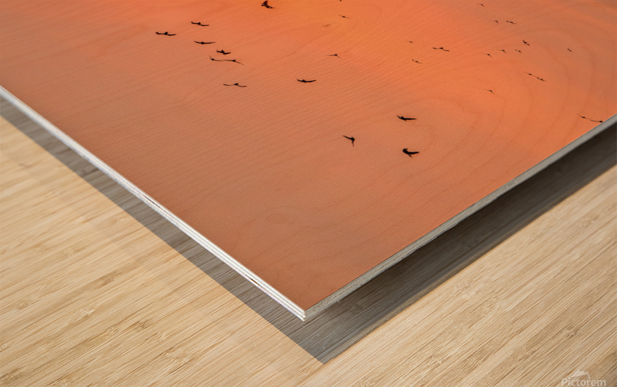 Fire Sunset Wood print