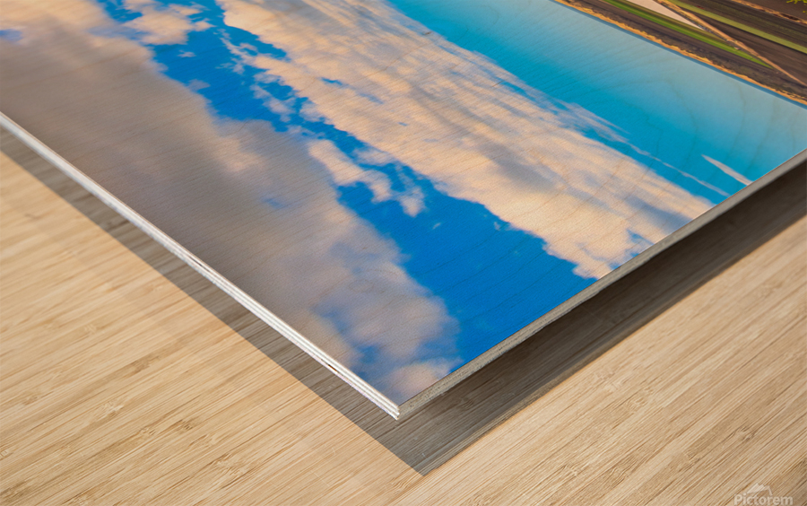 Farming Ocean Wood print