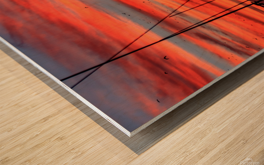 Harbor Sunrise Wood print