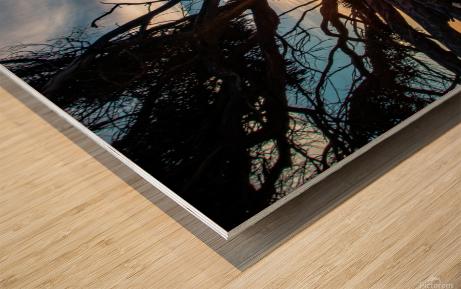 A Break in the wind Wood print
