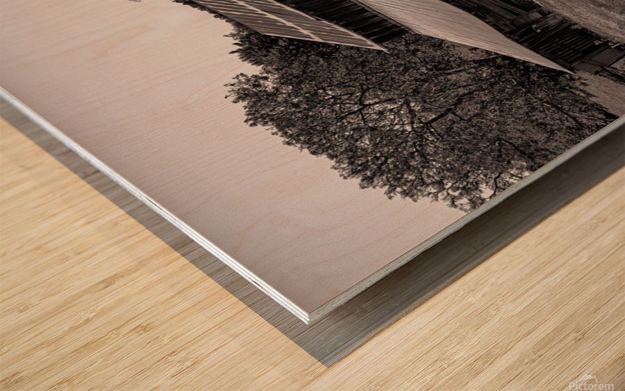 Da Barn Wood print