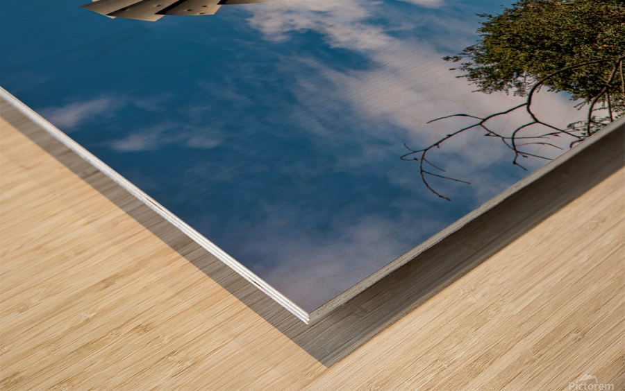 Got Water Wood print