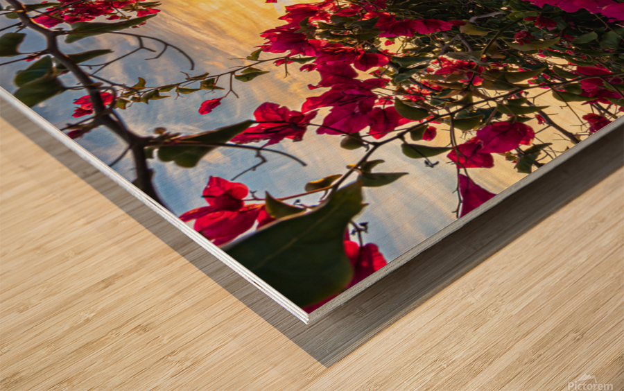 Boug sunset1 Wood print