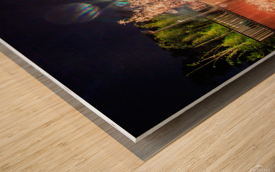 Ramp Fireworks Wood print