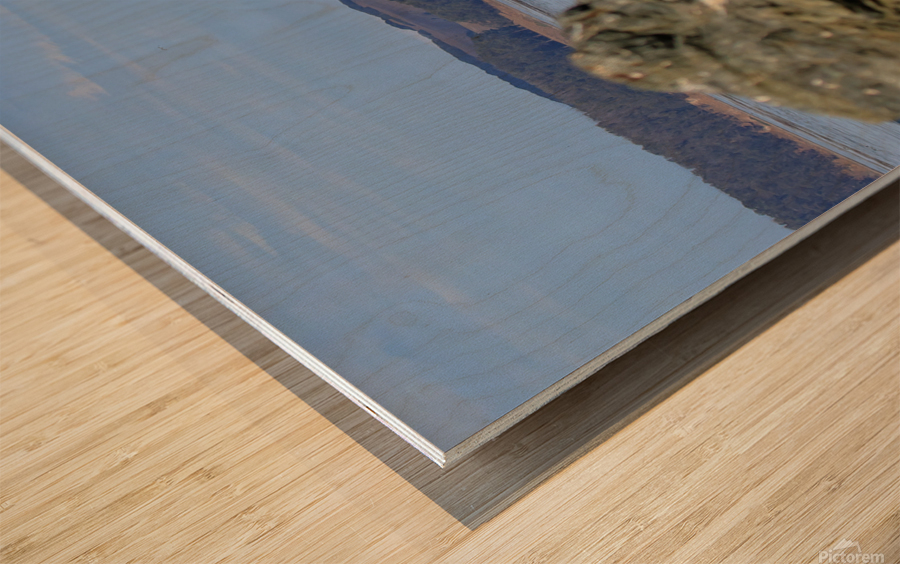 Pico Rock Wave Wood print