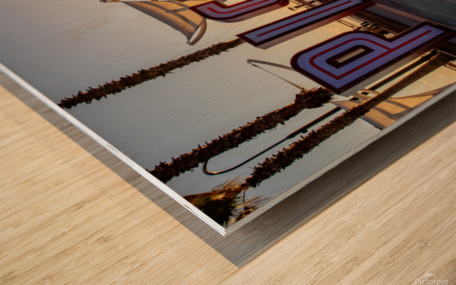Pismo Beach Wood print