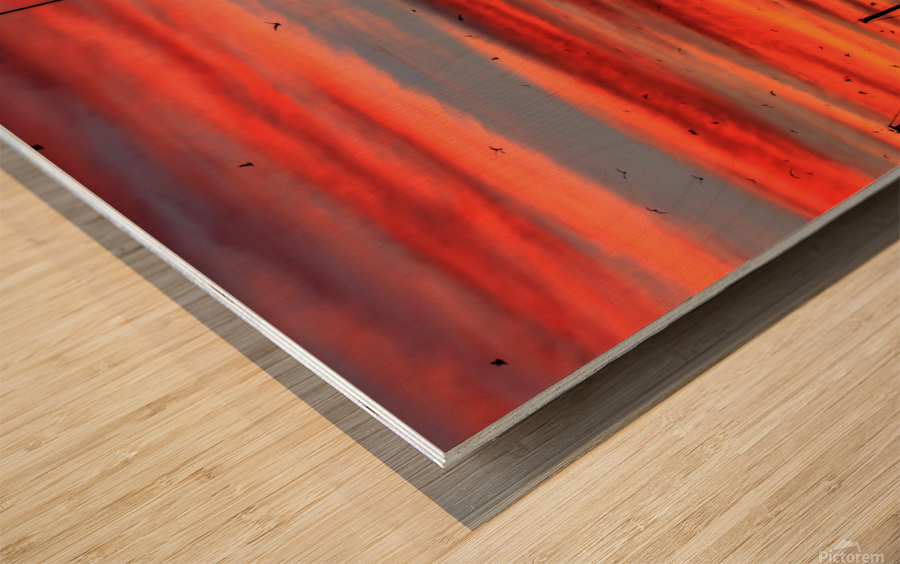 Mast Sunrise Wood print