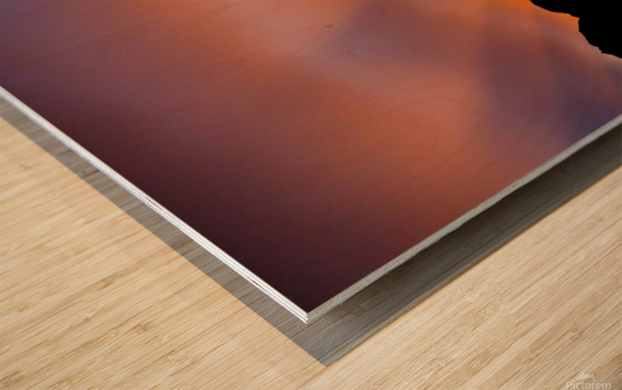 Lihue Rays Wood print