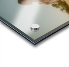 Enjoying Acrylic print