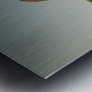 Enjoying Metal print