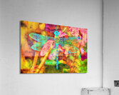 blue dragonfly floating Acrylic Print