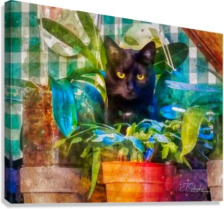 feline in hiding Canvas Print