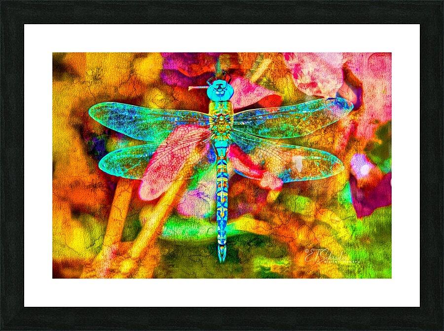blue dragonfly floating Picture Frame print