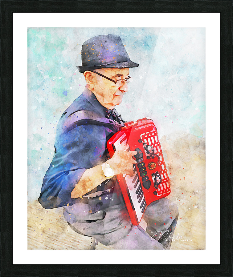 accordion player Picture Frame print